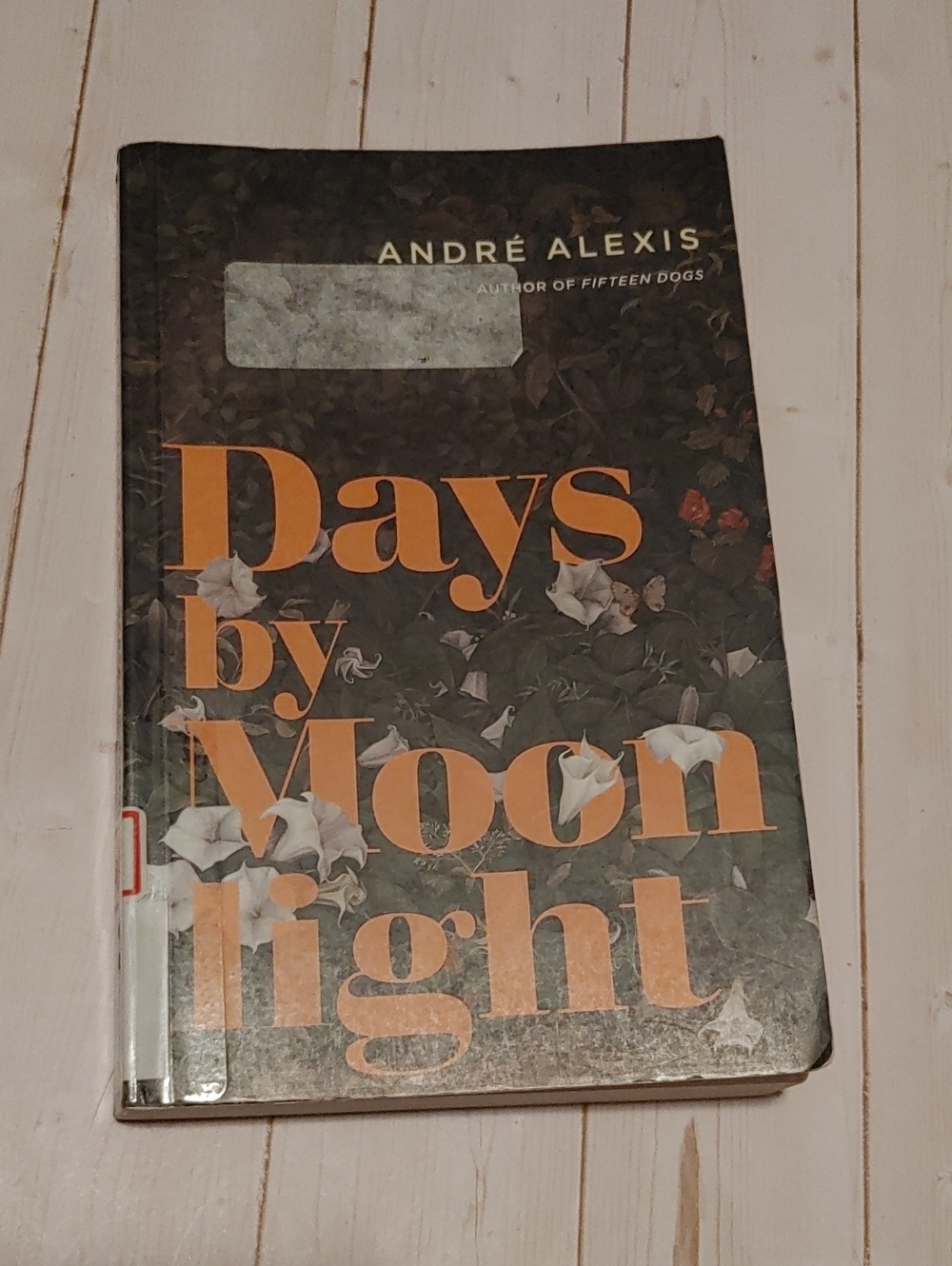 Days By Moonlight Adult Fiction Novel Book By Andre Alexis 2019